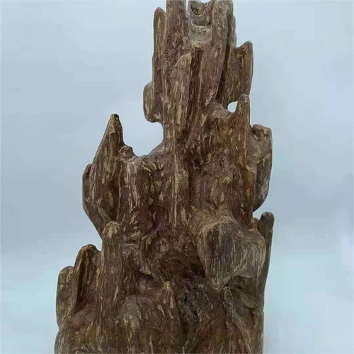 700g Original Indonesien Wild Agarholz Fengshui Einrichtungsartikel Agarwood 达拉干沉香 - Bild 7 von 8