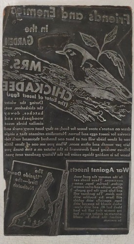 Vintage Zeitung Holzdruck Block Tintenstempel Presse "Freunde & Feinde des Gartens" - Bild 2 von 8