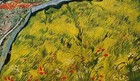 Foto 3 di 5