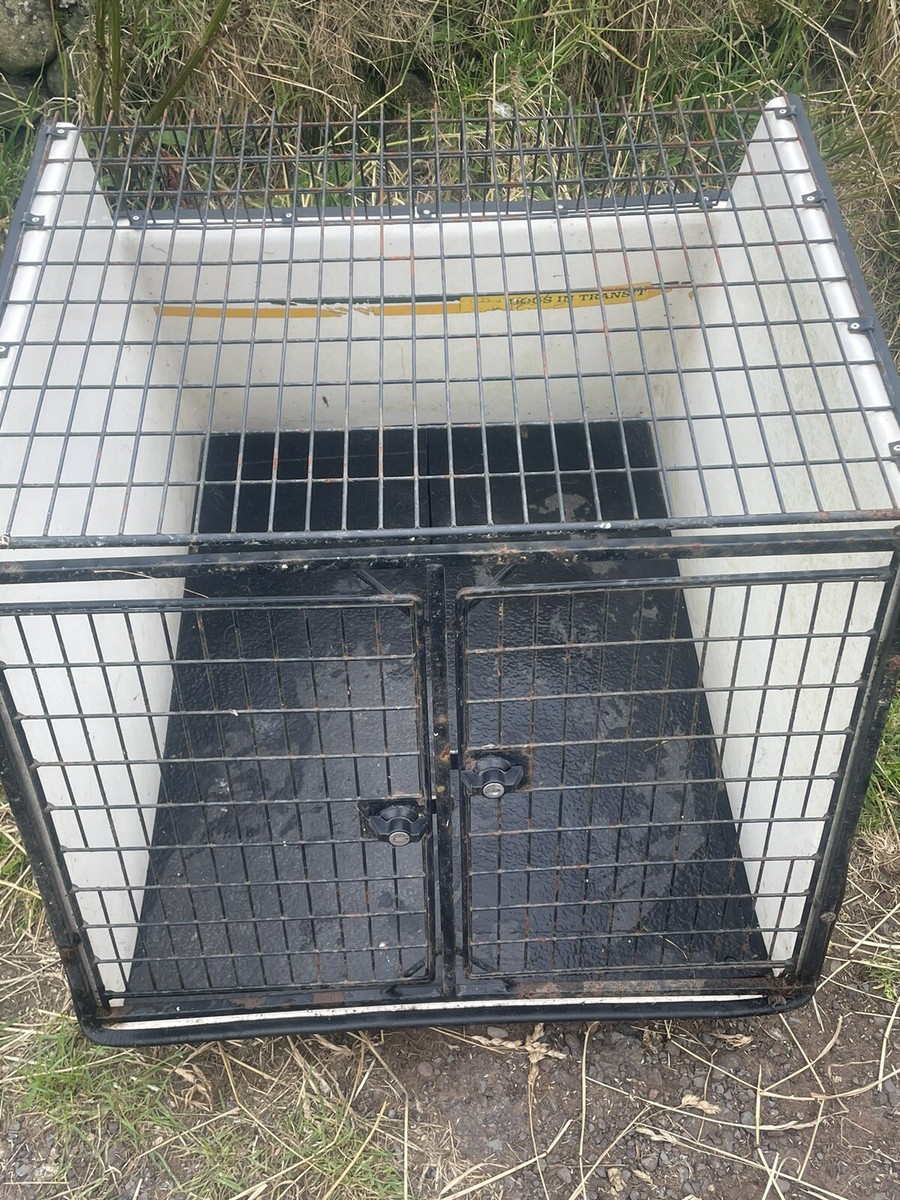 LINTRAN Transit Box For Dogs 24h. 28w. 35d eBay