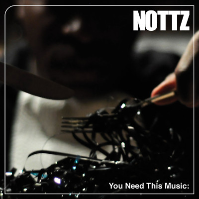 洋楽 NOTTZ / YOU NEED THIS MUSIC 2LP NOTTZ - You Need This Music - Amazon.com Music