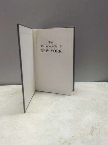 The Encyclopedia Of New York Fourth Edition Volume 1 & 2  Somerset NY Library  - Picture 8 of 24