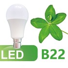 Bild 28 von 31