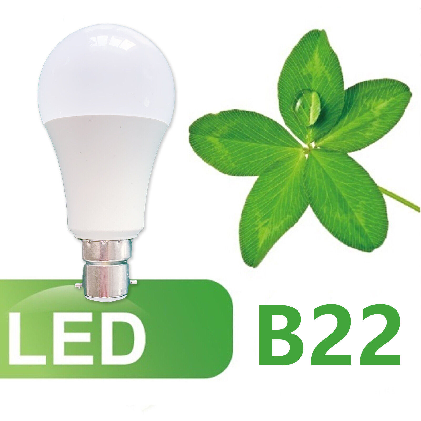 Bild 28 von 31