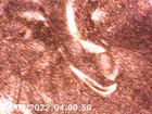 Bild 2 von 4