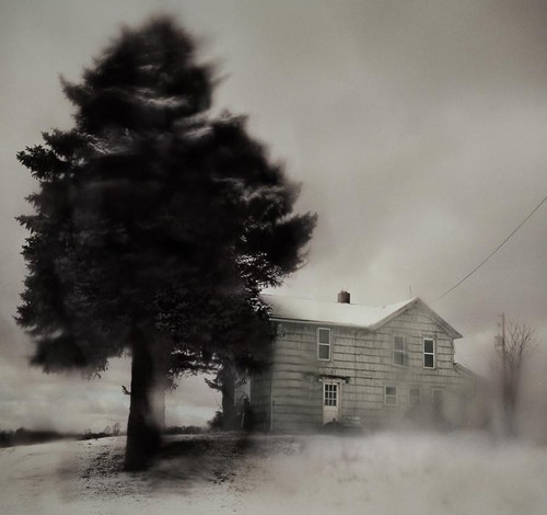 Póster de exposición 2013 ""Árbol y casa"" de prados plateados TODD HIDO 12"" X 16"" *NUEVO* - Imagen 4 de 9