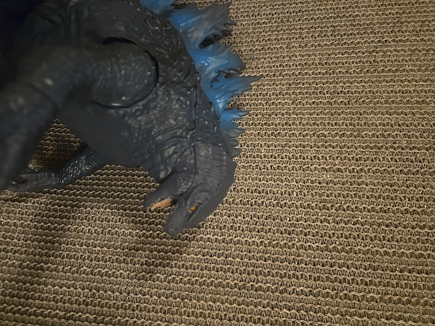 Picture 5 of 11