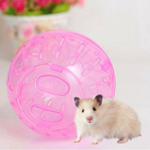 Plastic Pet Rodent Mice Jogging Ball Hamster Gerbil Rat Exercise Solid Hamster - Bild 5 von 12