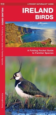 Ireland Birds, 2nd Ed: A Folding Pocket Guide to Familiar Species by James Kavan