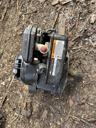 Briggs & Stratton Motor Sprint 40 - Imagen 2 de 5