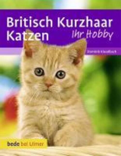 Dominik Kieselbach (u. A.) | Britisch Kurzhaar Katzen | Buch | Deutsch