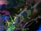 Picture 4 of 4