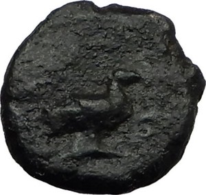 ANONYMOUS-81-196AD-Rome-Quadrans-Authentic-Ancient-Roman-Coin-VENUS-DOVE-i65523