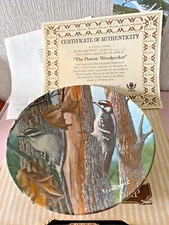 BIRD PLATE THE DOWNY WOODPECKER BIRDS OF YOUR GARDEN KEVIN DANIEL PERFECT