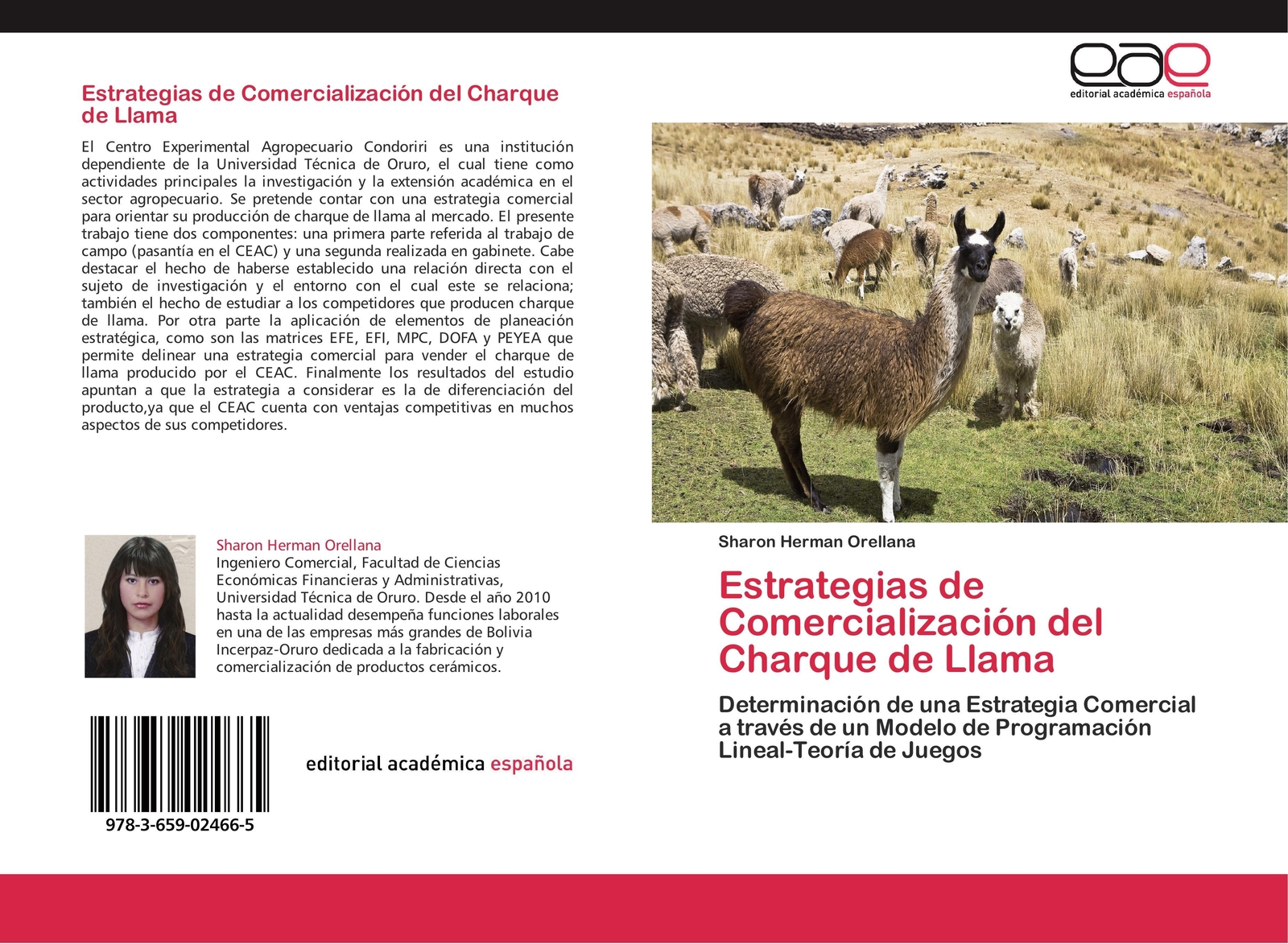 Thumbnail - Sharon Herman Orellana | Estrategias De Comercialización Del Charque