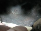 Bild 10 von 10