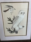 Picture 17 of 17