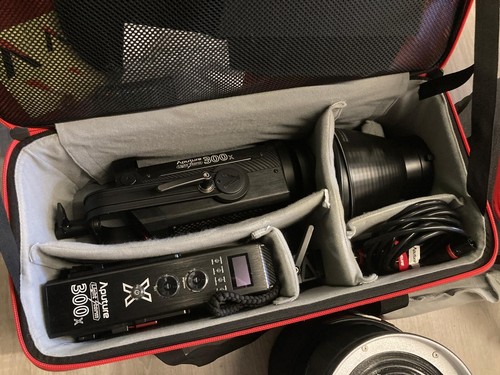 SET DE ILUMINACIÓN: 2 APUTURE 300X + 1 APUTURE 600d PRO + ACCESORIOS - Imagen 10 de 14