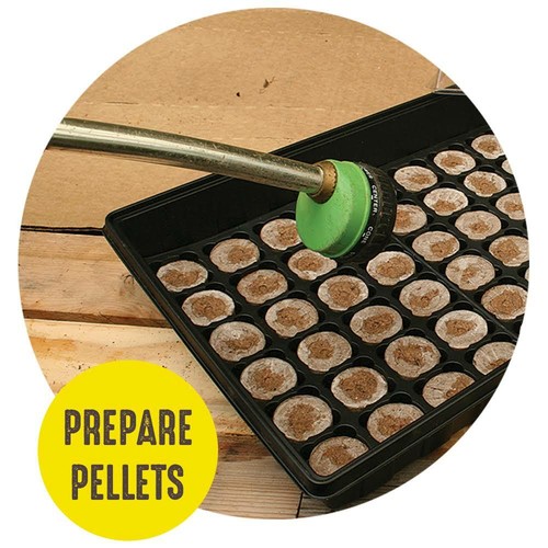JIFFY Tray 72 Torfpellet SCHNELLER SAMEN STARTERKIT SCHNELLER SCHNELLER VERSAND!! Sämling Pflanze - Bild 3 von 7