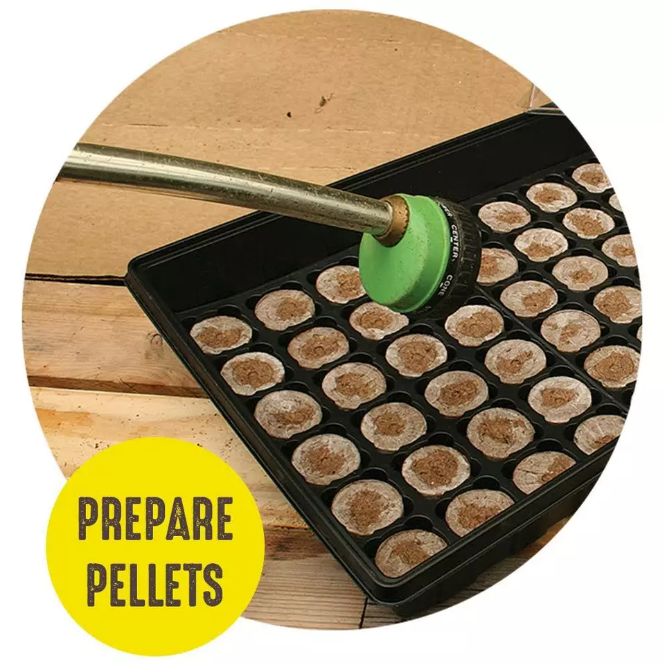 JIFFY Bandeja 36 Pellet de Turba KIT DE INICIO DE SEMILLAS RÁPIDAS ¡¡ENVÍO RÁPIDO!! Planta PLÁNTULA Foto 3 de 4