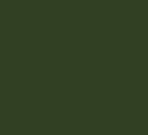 AK Interactive 11420 Figures Series: Waffen Green 3G Acrylic Paint 17ml Bottle - Picture 1 of 1