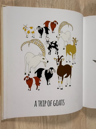 A Compendium of Collective Nouns, 2013, Jennifer Skelly, A Court of Kangaroos - Picture 2 of 4