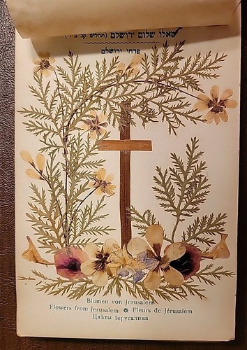 Vintage 1930's Flowers & Views Of The Holy Land Jerusalem Wood Covered Book - Picture 24 of 24