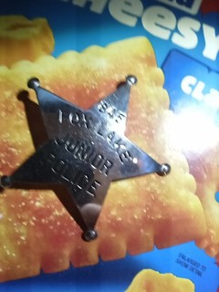 Fox Lake Illinois Junior Police Badge