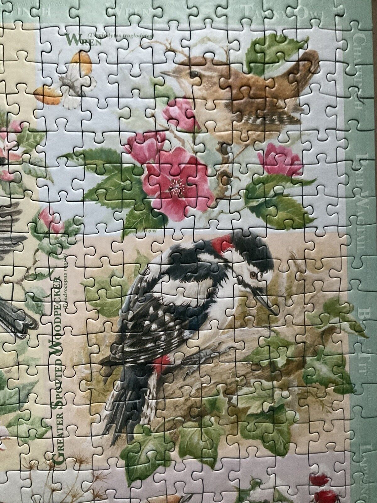 Bild 10 von 20
