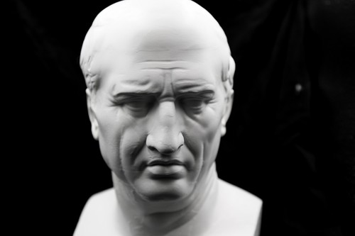 Cicero Bust | Orator & Political Figure Statue | Antiquity | Size Option | - Picture 6 of 6
