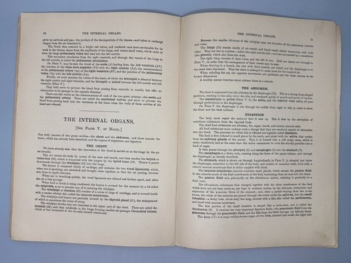 1896 WHITTAKER'S ANATOMICAL MODEL PICTORIAL REPRESENTATION OF THE HUMAN & ORGANS - Foto 9 di 16