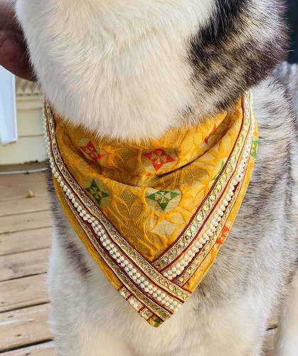 Diwali wedding DESI Silk Brocade Over Collar SlideOn Pet Dog Bandana Scarf L - Picture 8 of 9