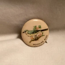 American Pepsin Gum Co Chewing Gum Bird Celluloid Pinback Button MOCKINGBIRD