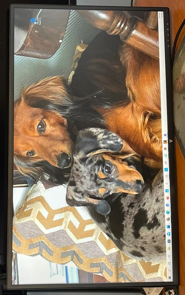 V7 L27ADS-2N 27" Full HD LED LCD Monitor - 16:9 - Black - Image 3 of 3