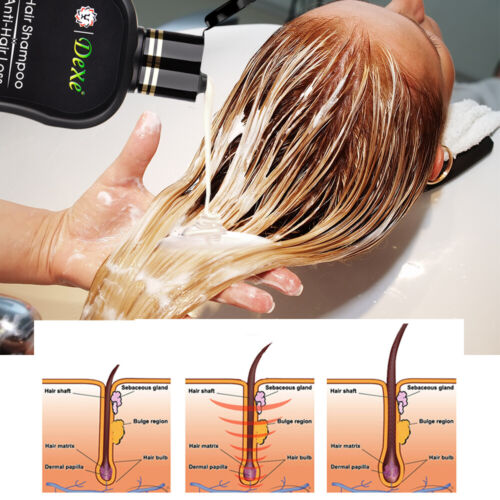 Fast Hair Growth Shampoo For Women Men Anti Hair Loss Treatment Hair Thickening - Picture 4 of 27