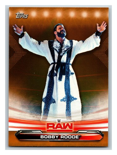 2019 Topps WWE RAW w/ Hometown Heroes & Bronze - Pick One - Fill Your Set - Picture 322 of 383