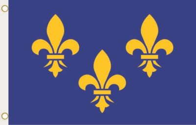 Flagge Fahne Fleur de Lys 90 x 150 cm zum Hissen