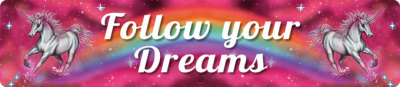 EINHORN-FOLLOW YOUR DREAMS Straßenschild Magnet aus Blech 16x3,5 cm STR-M 35