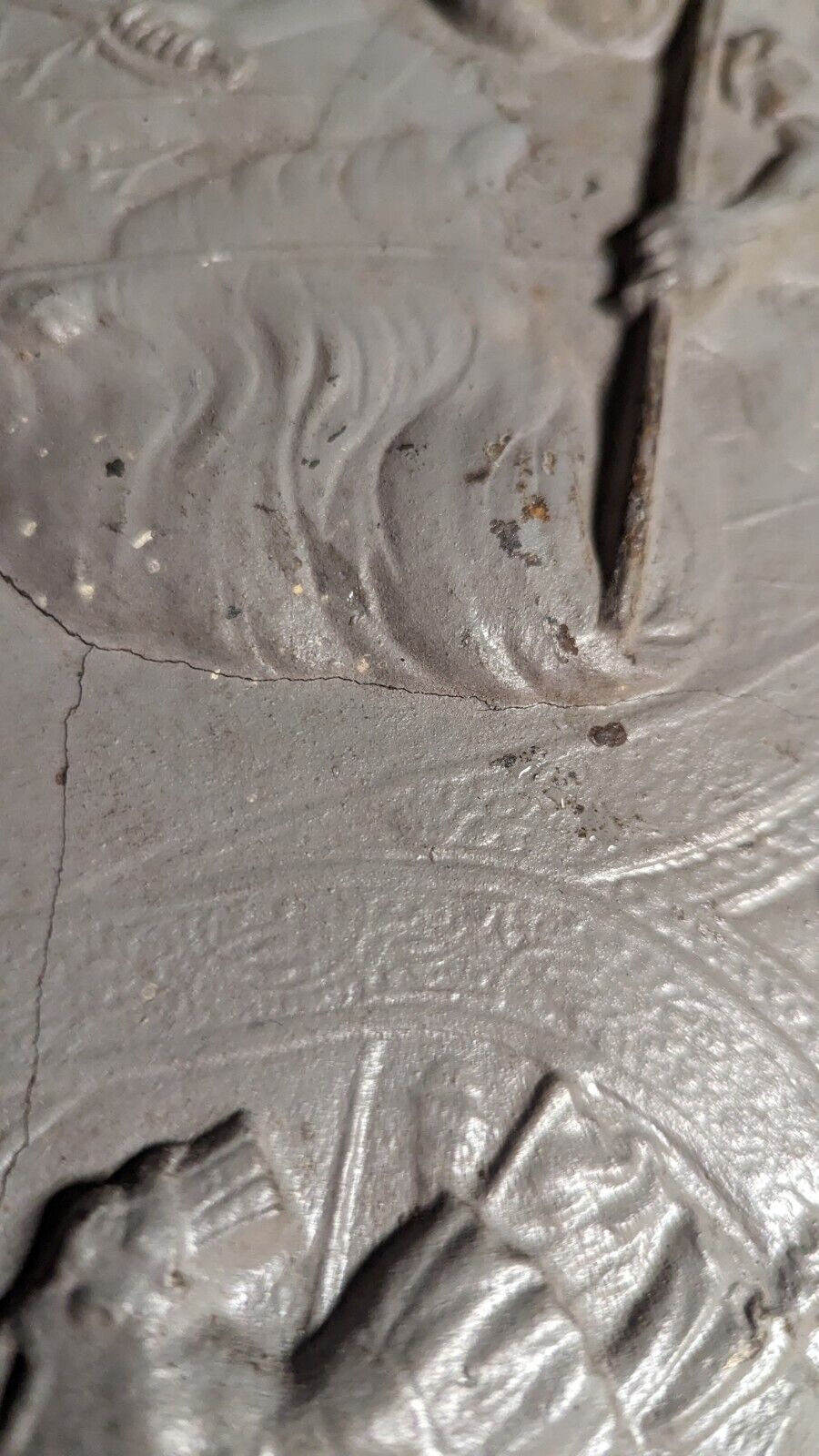 Picture 7 of 18
