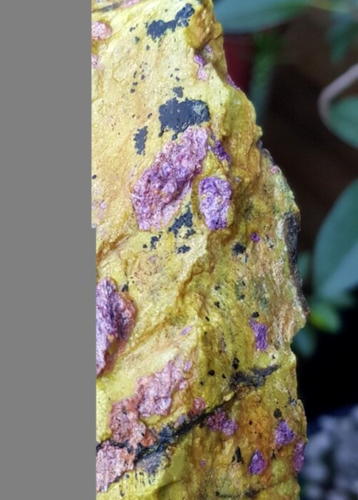 STICHTITE IN SERPENTINE ATLANTISITE RAW SPECIMEN 132 X 82 X 50 MM 600 G - Picture 5 of 15