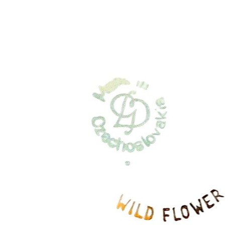 Gebruder Benedikt Wild Flower Set of 4 Bread & Butter Plates Czechoslovakia JRB - Picture 6 of 6