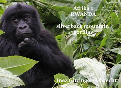 Inez Gitzinger-Albrecht | Afrika 1 Ruanda | Buch | Deutsch (2015) | 94 S.