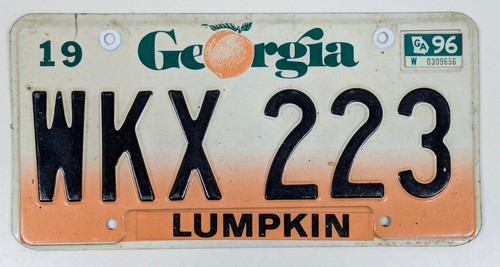 Oldtimer Original Georgia Nummernschild Lumpkin County 1990 91 92 93 94 95 96 97 - Bild 1 von 2