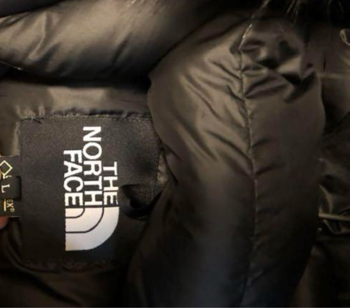 THE NORTH FACE ANTARCTICA Parka Gore-Tex Size L Black Nearly THE NORTH FACE ANTARCTICA Parka Gore-Tex Size L Black Nearly