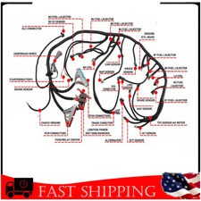 Ls1 4l60e Dbc Standalone Harnes Drive By Cable 99-06 Ls Swap 4.85.36.0l Vortec