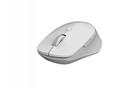Rapoo M300 Silent Maus RF kabellos + Bluetooth 1600 DPI rechts