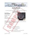 Bild 16 von 61