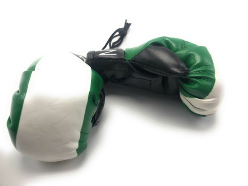Country Flag Mini Boxing Gloves - New, One Pair, Multiple Countries Available - Picture 96 of 158