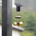 Bild 7 von 20