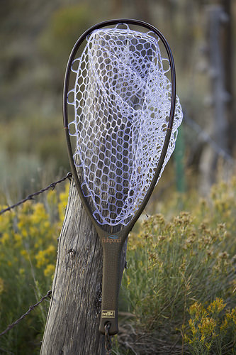 Fishpond Nomad Native Net